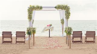 Simple Style Wedding Arch