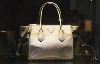 Woman Handbag In A Showcase