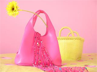 Pink And Yellow Purse