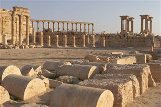Ruins Of Ancient Palmyra City