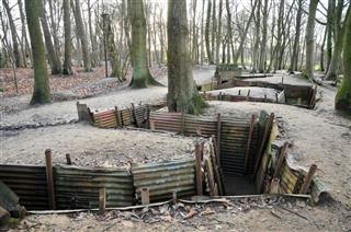 Reconstructed Ww1 Trenches In Forest