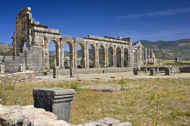 Ruins Of Volubilis