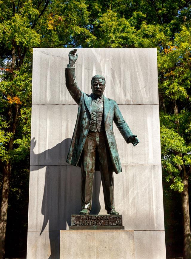 Theodore Roosevelt Statue Island Washington Dc