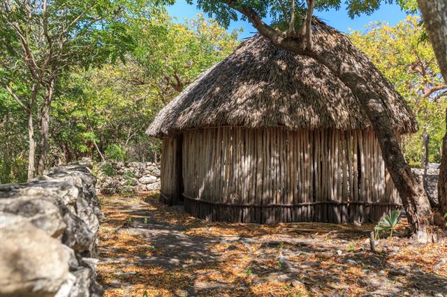 Mayan Hut