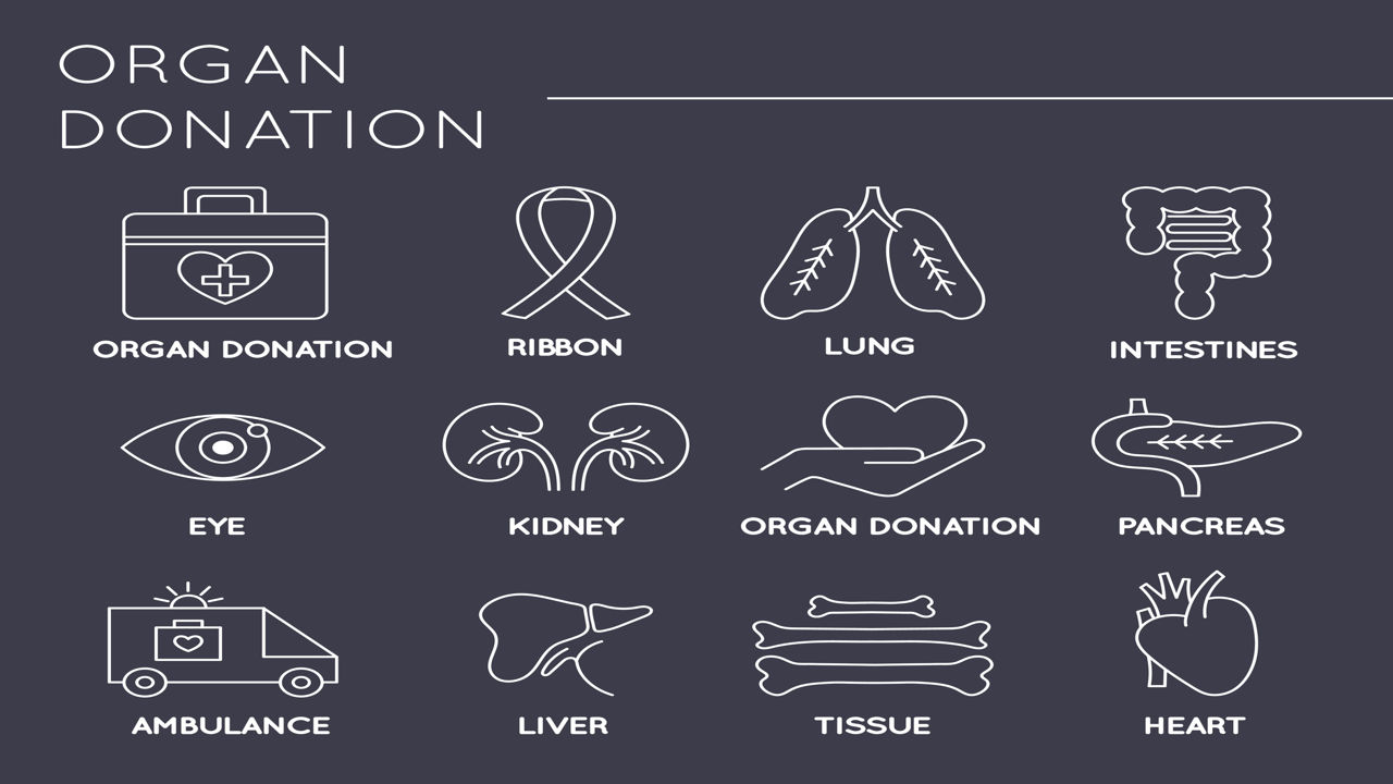 Organ Donation Facts and Statistics
