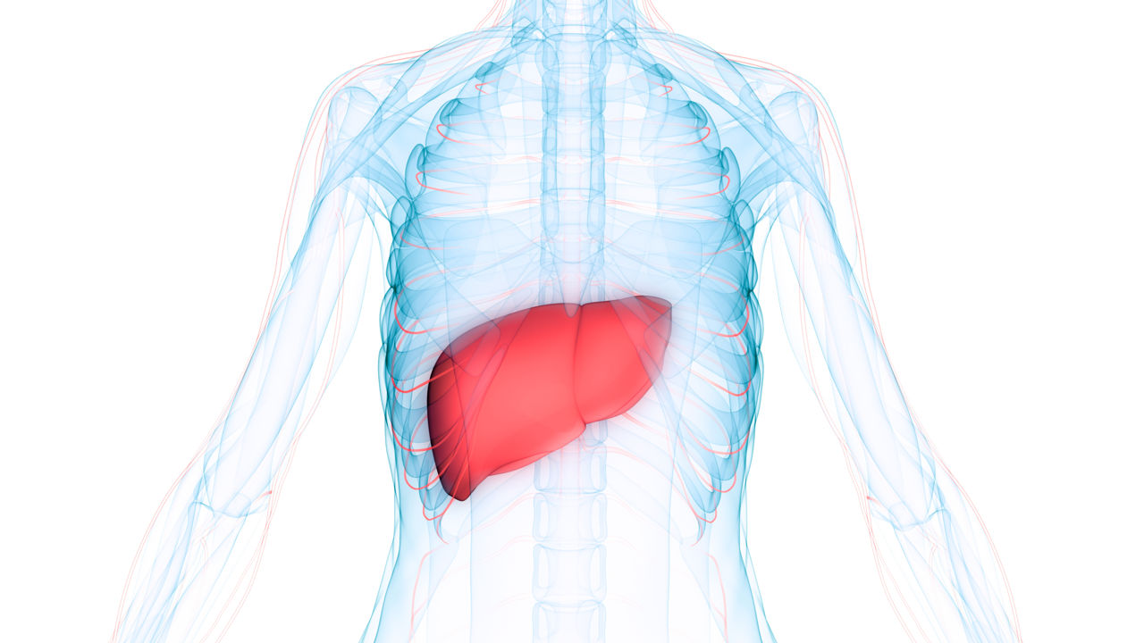 Causes of Liver Hemangioma