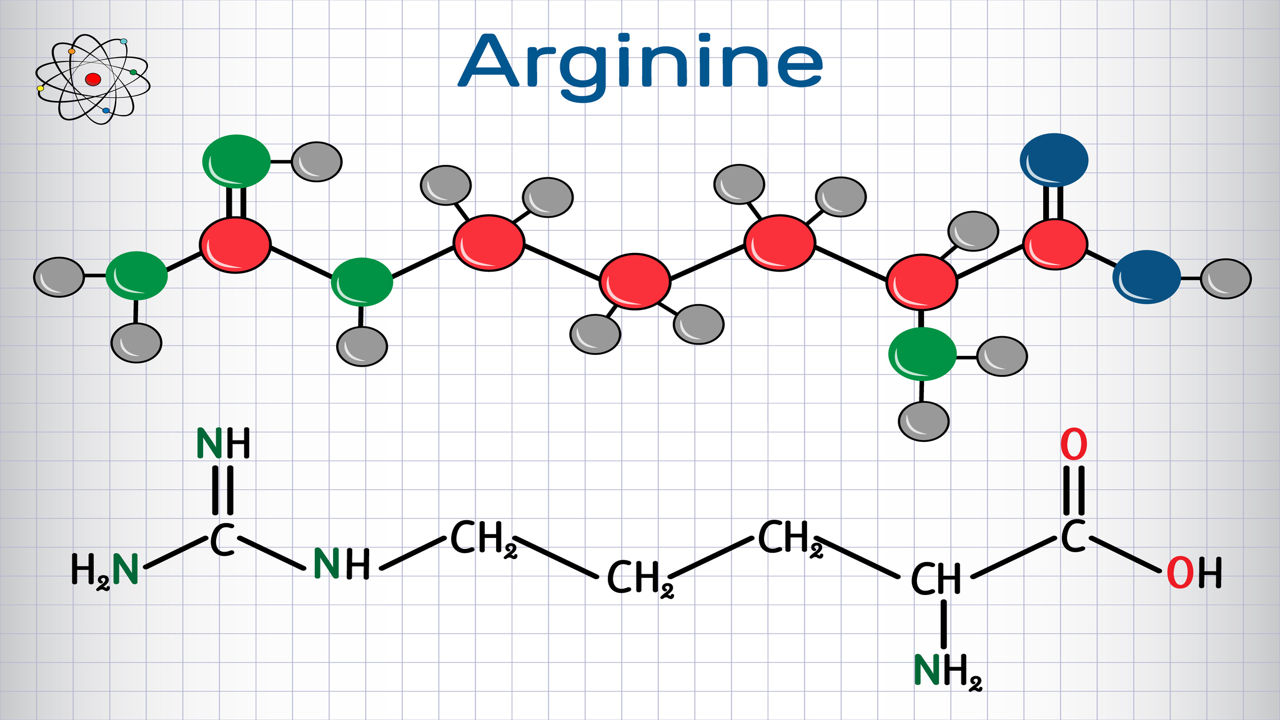 Arginine Rich Foods
