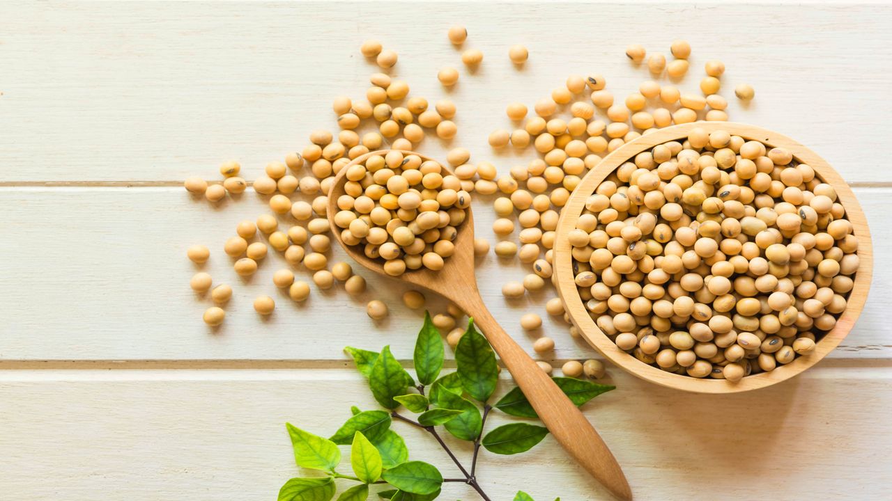 Relation Between Soy and Thyroid Health