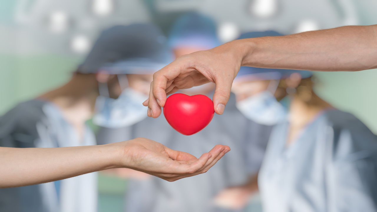 Busting Common Myths about Organ Donation