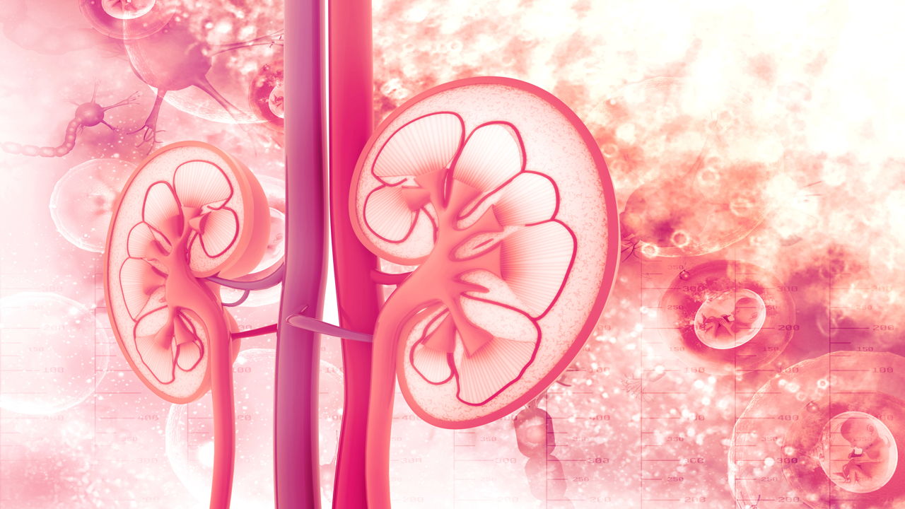 Side Effects of Kidney Dialysis